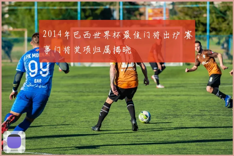 2014年巴西世界杯最佳门将出炉 赛事门将奖项归属揭晓