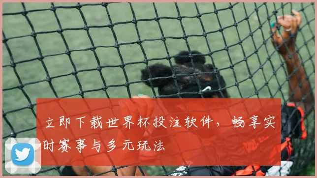 立即下载世界杯投注软件，畅享实时赛事与多元玩法